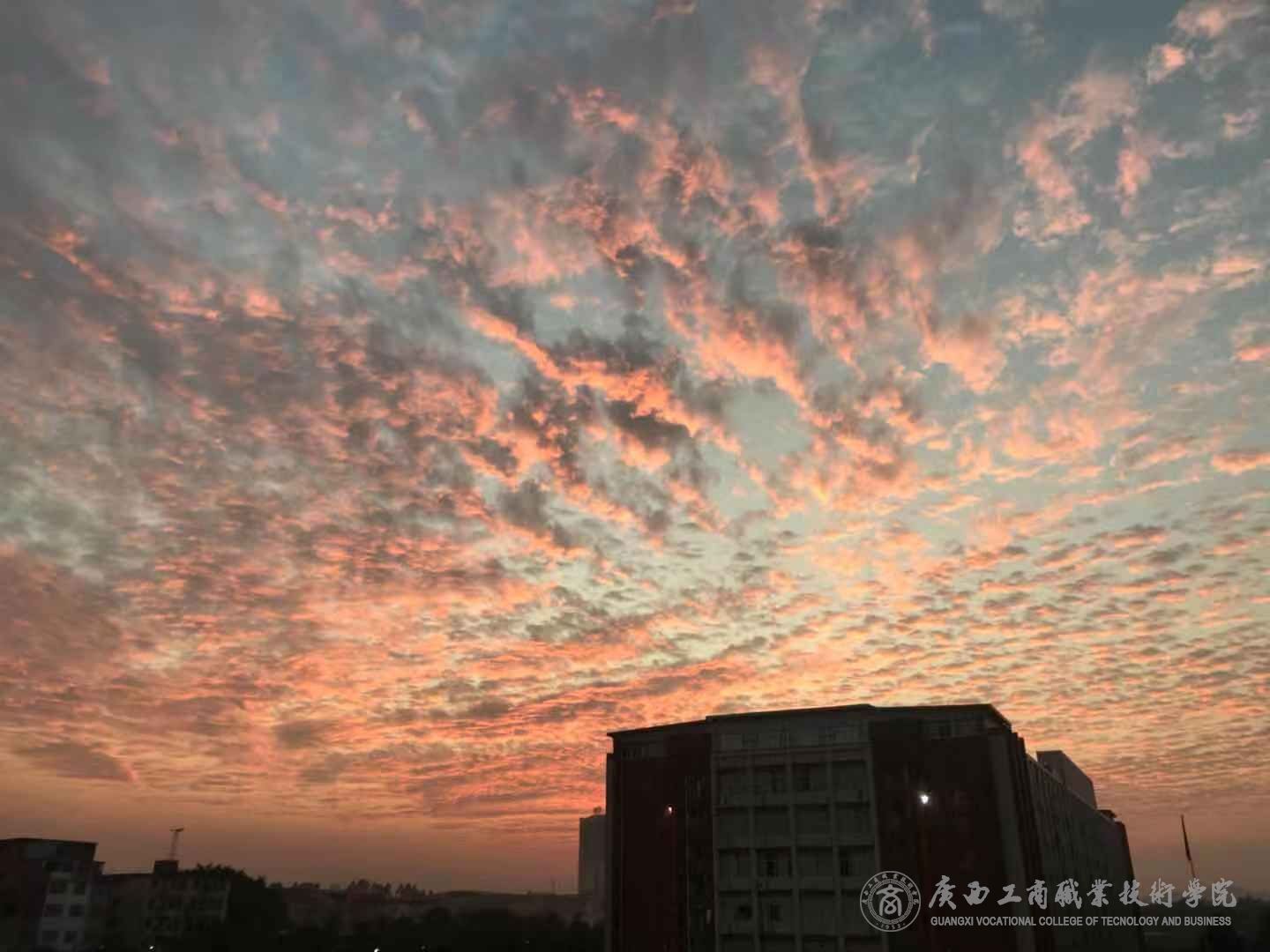 201912191513101150.jpg